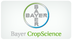 bayer