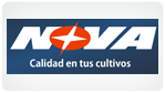 nova